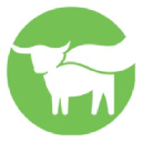 Beyond logo