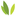 Ironwood logo