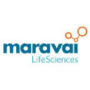 Maravai logo