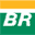 Petroleo Brasileiro S.A.- Petro logo