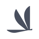 Volato Group, Inc. logo