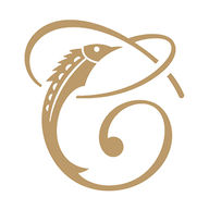 Top Wealth Group Holding Limite logo